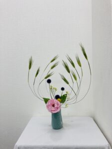 6月　神戸店の生け花～その１～